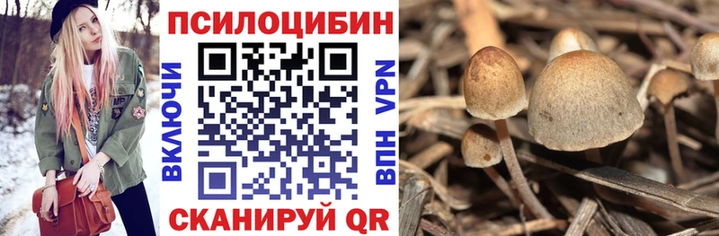 Псилоцибиновые грибы MAGIC MUSHROOMS  Москва 